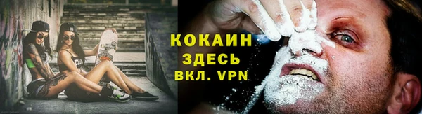 стаф Козельск