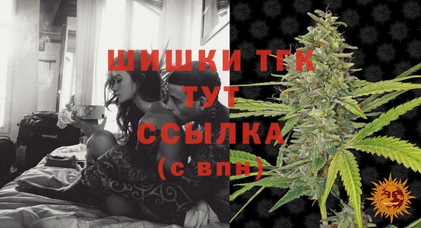 стаф Козельск