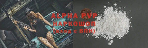 стаф Козельск