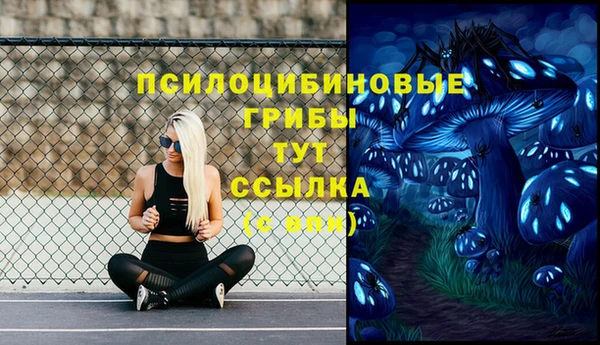 кокс Кодинск