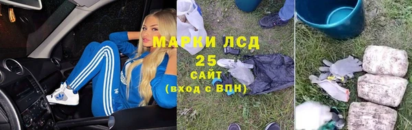 стаф Козельск